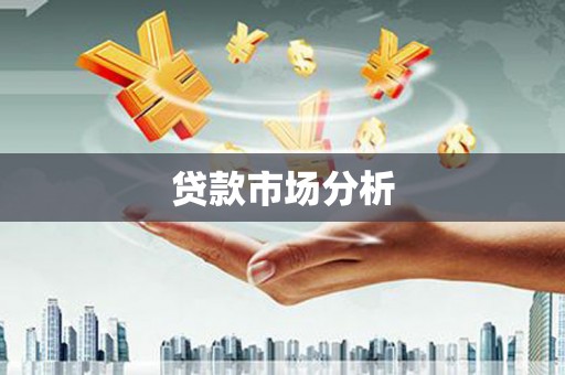 云龙贷款市场分析