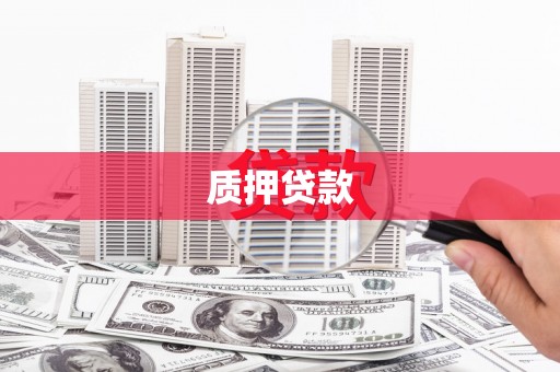雅江质押贷款