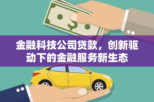 西昌金融科技公司贷款，创新驱动下的金融服务新生态