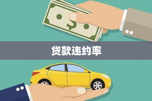 江川贷款违约率