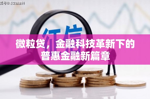 原州微粒贷，金融科技革新下的普惠金融新篇章