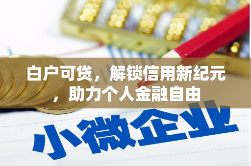 芦洲白户可贷，解锁信用新纪元，助力个人金融自由