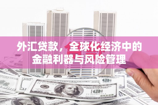 集贤外汇贷款，全球化经济中的金融利器与风险管理