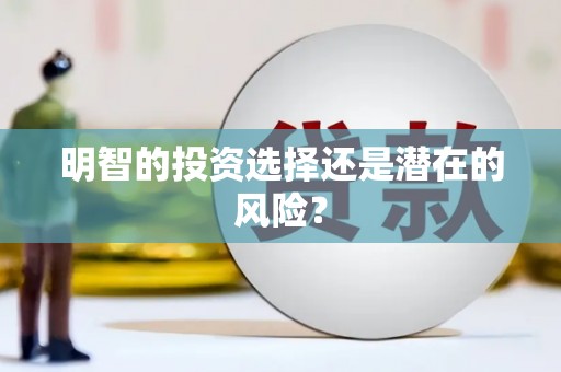 宁武明智的投资选择还是潜在的风险？