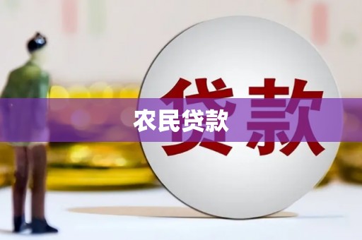 明山农民贷款