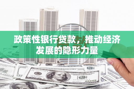 盐源政策性银行贷款，推动经济发展的隐形力量