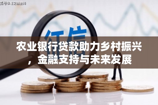 乐亭农业银行贷款助力乡村振兴，金融支持与未来发展