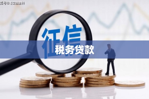 壶关税务贷款