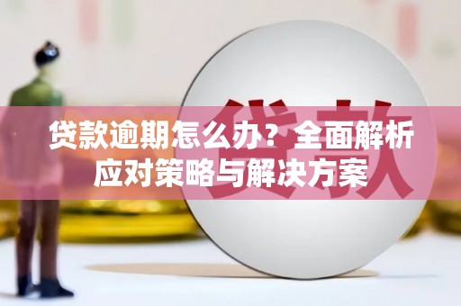 石城贷款逾期怎么办？全面解析应对策略与解决方案