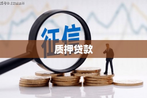 思南质押贷款