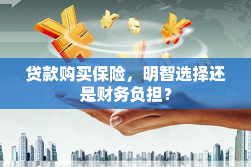 普格贷款购买保险，明智选择还是财务负担？