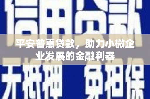 西华平安普惠贷款，助力小微企业发展的金融利器