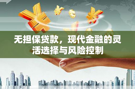 郁南无担保贷款，现代金融的灵活选择与风险控制