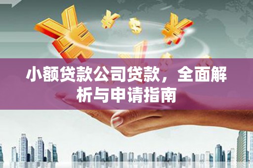隆回小额贷款公司贷款，全面解析与申请指南