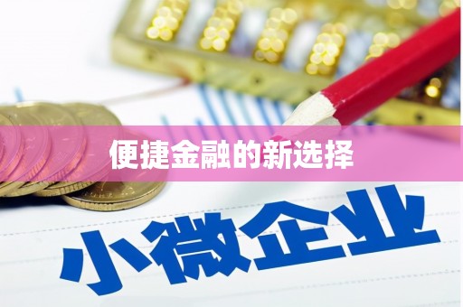 普兰店便捷金融的新选择