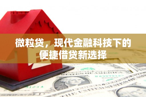 高要微粒贷，现代金融科技下的便捷借贷新选择