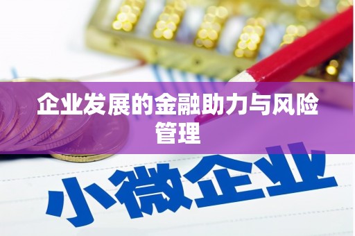 美姑企业发展的金融助力与风险管理