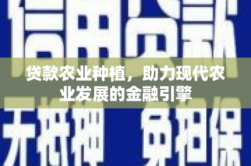 张家界贷款农业种植，助力现代农业发展的金融引擎
