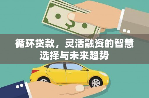 岳阳循环贷款，灵活融资的智慧选择与未来趋势