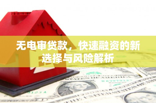 嘉祥无电审贷款，快速融资的新选择与风险解析