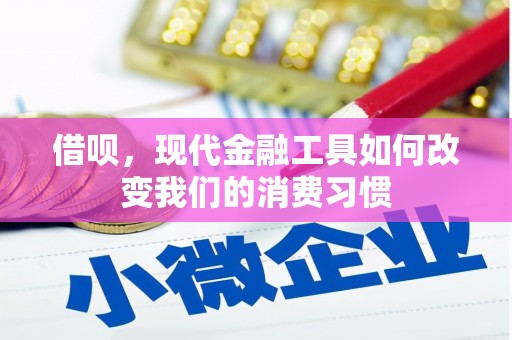 林甸借呗，现代金融工具如何改变我们的消费习惯
