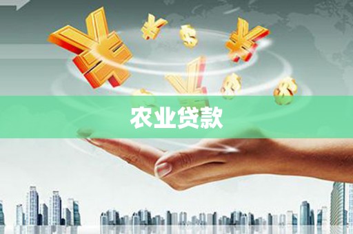 泸溪农业贷款
