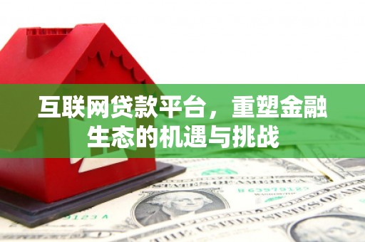 南岸互联网贷款平台，重塑金融生态的机遇与挑战