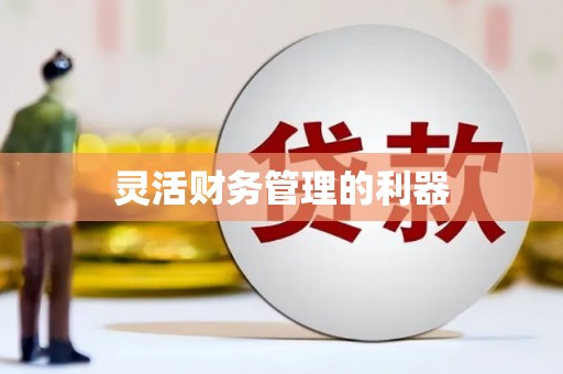 北仑灵活财务管理的利器