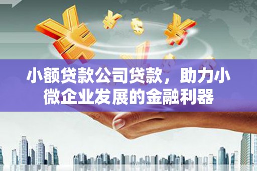 安仁小额贷款公司贷款，助力小微企业发展的金融利器