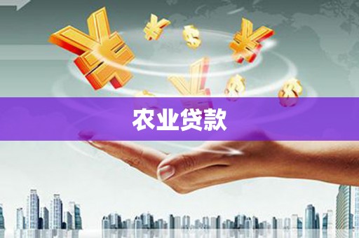深坑农业贷款