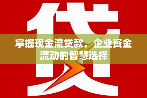 吉州掌握现金流贷款，企业资金流动的智慧选择