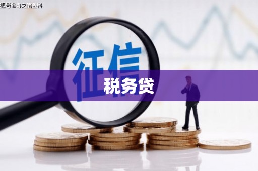 赫山税务贷