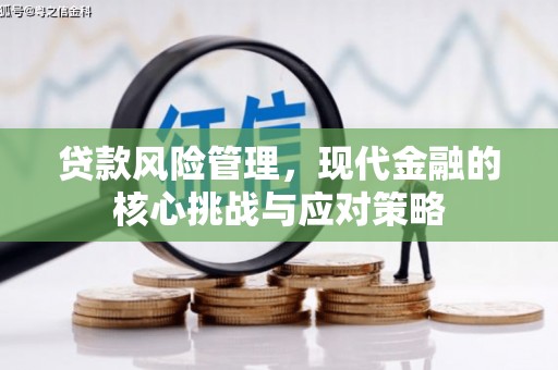洛宁贷款风险管理，现代金融的核心挑战与应对策略