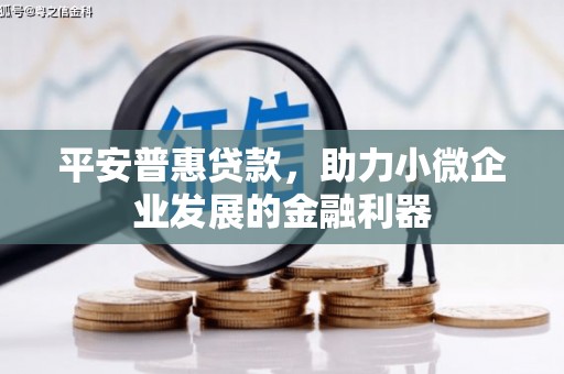 宛城平安普惠贷款，助力小微企业发展的金融利器