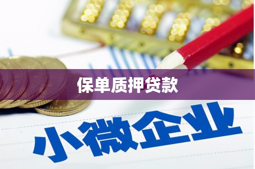 唐县保单质押贷款