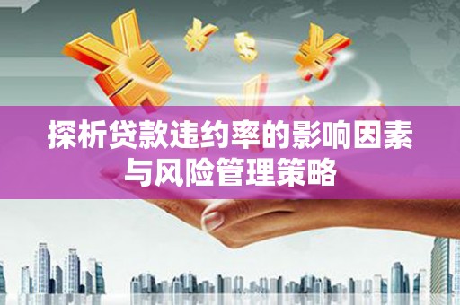 瑞金探析贷款违约率的影响因素与风险管理策略