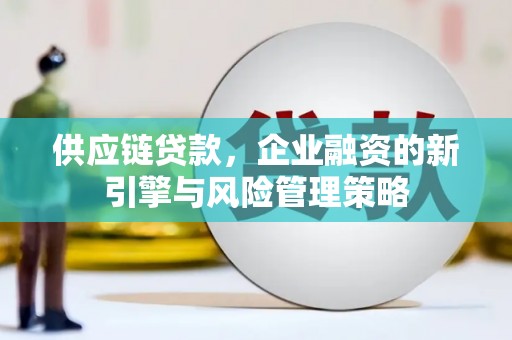 临桂供应链贷款，企业融资的新引擎与风险管理策略