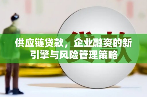 狮潭供应链贷款，企业融资的新引擎与风险管理策略