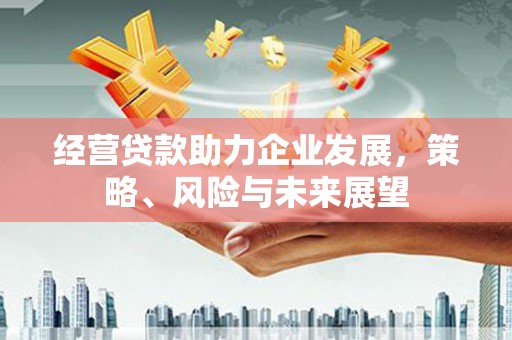 武安经营贷款助力企业发展，策略、风险与未来展望