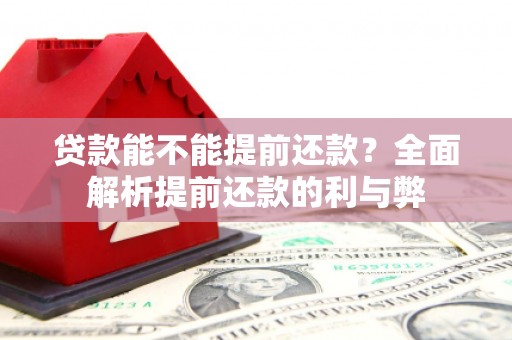 岳塘贷款能不能提前还款？全面解析提前还款的利与弊