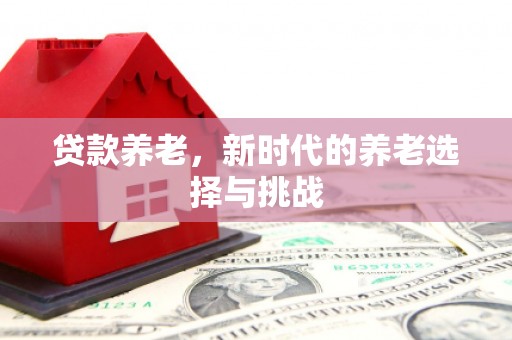 宏伟贷款养老，新时代的养老选择与挑战