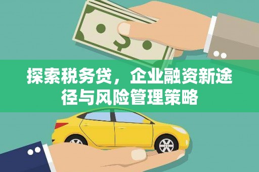 武义探索税务贷，企业融资新途径与风险管理策略