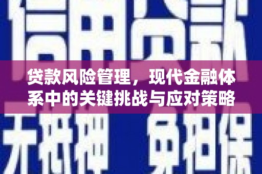 昔阳贷款风险管理，现代金融体系中的关键挑战与应对策略