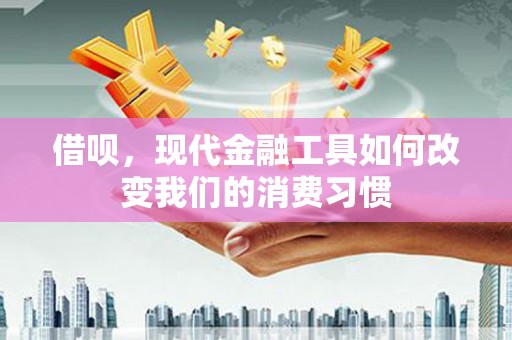 平谷借呗，现代金融工具如何改变我们的消费习惯
