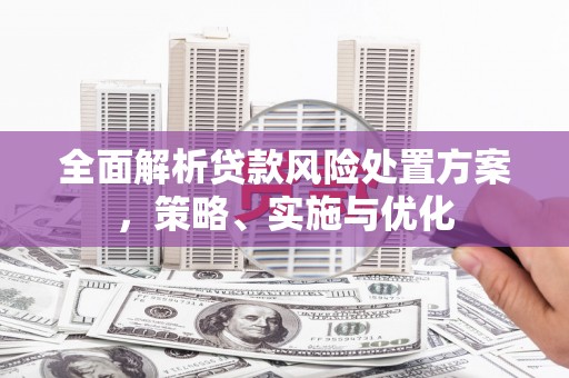 武陟全面解析贷款风险处置方案，策略、实施与优化