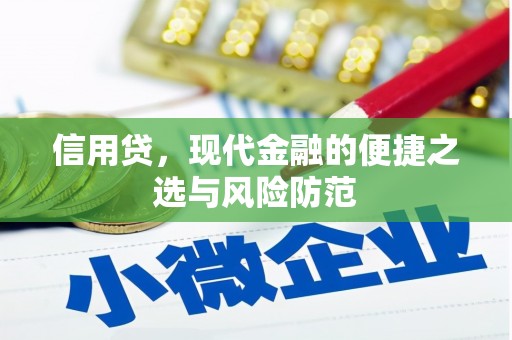 浦东信用贷，现代金融的便捷之选与风险防范