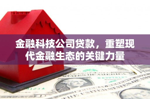 水里金融科技公司贷款，重塑现代金融生态的关键力量