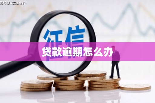 关山贷款逾期怎么办