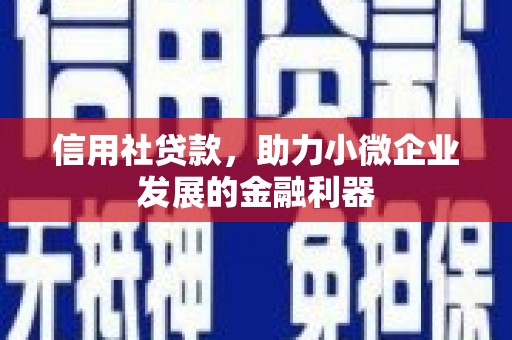 威海信用社贷款，助力小微企业发展的金融利器