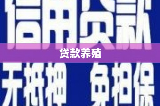新泰贷款养殖